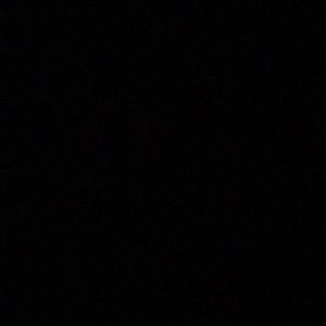 Meet your Posher, Calie